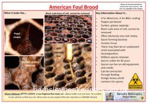 American Foul Brood