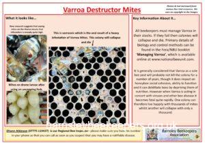 Varroa