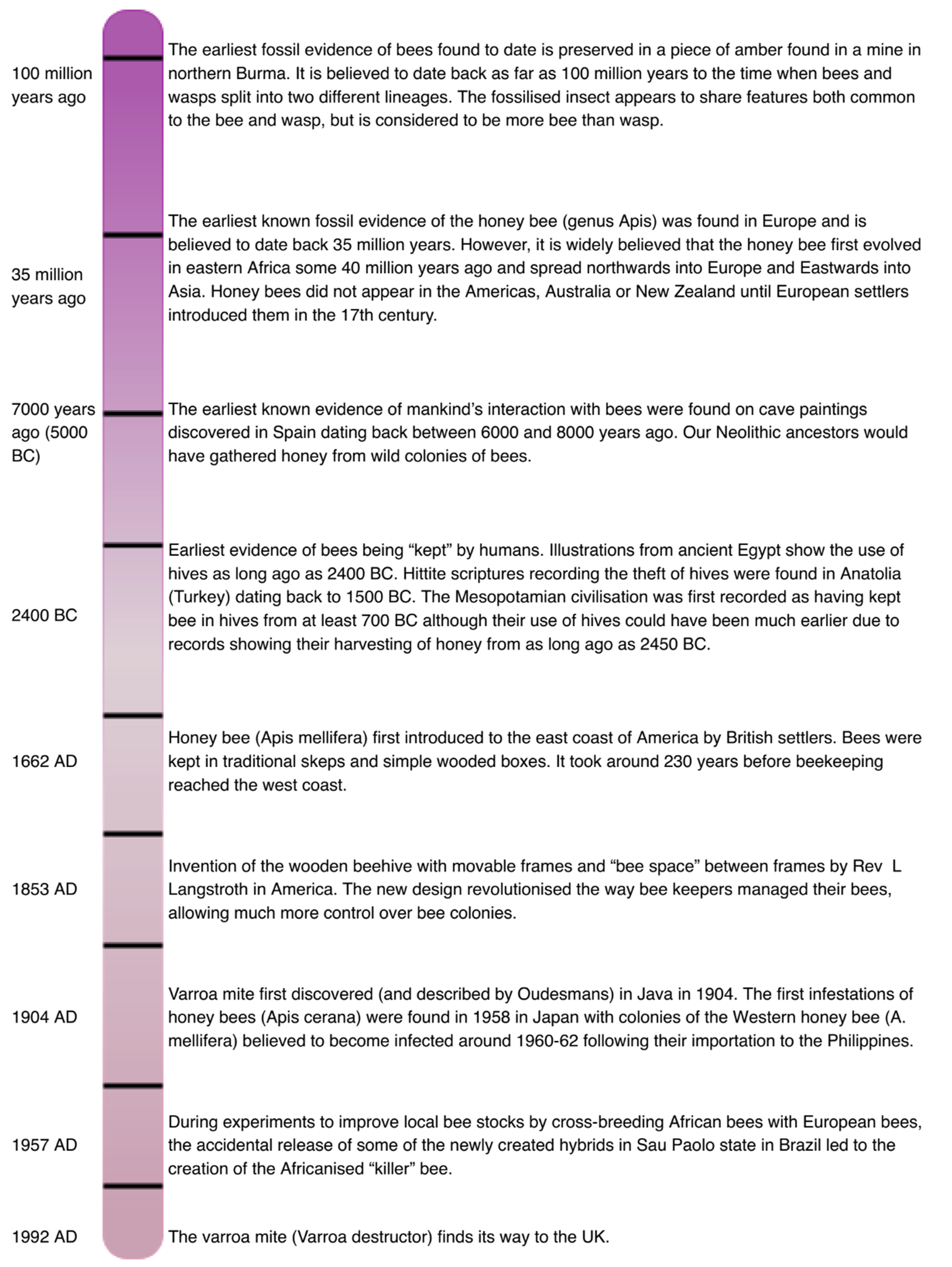 Honey Bee History Barnsley Beekeepers