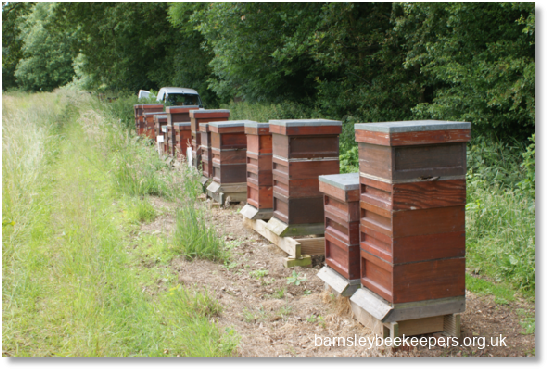 Apiary Setup - Barnsley Beekeepers
