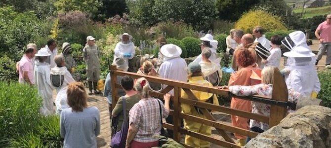 Planting for Pollinators in Barnsley: A Beekeeper’s Guide to a Buzzing Garden Planting for Pollinators in Barnsley: A Beekeeper’s Guide to a Buzzing Garden